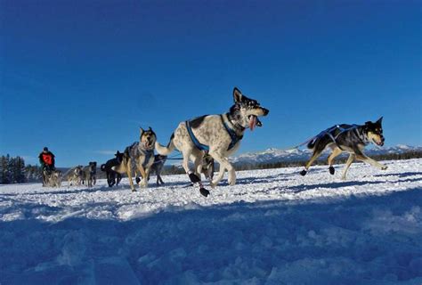 Winter Activities in Yellowstone