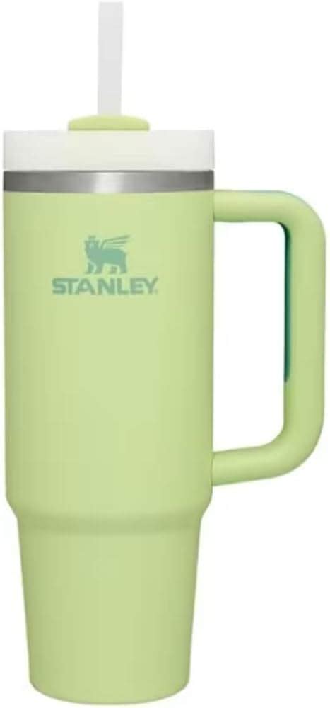 Stanley Quencher 30 Fl Oz Stainless Steel Insulated Tumbler 56 Off