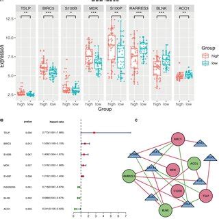 Immunerelated Prognostic Signature In Training Set A Expression