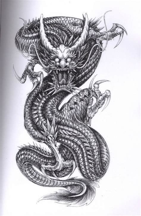 Chinese Dragon Tattoo Drawing At Explore