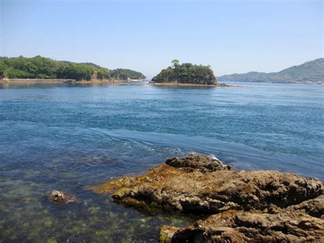 能島城／アクセス・場所・地図 村上源氏の末裔で村上水軍を率いた村上武吉の水軍城 能島城 【お城特集 日本の歴史】 日本の歴史ガイド～日本の