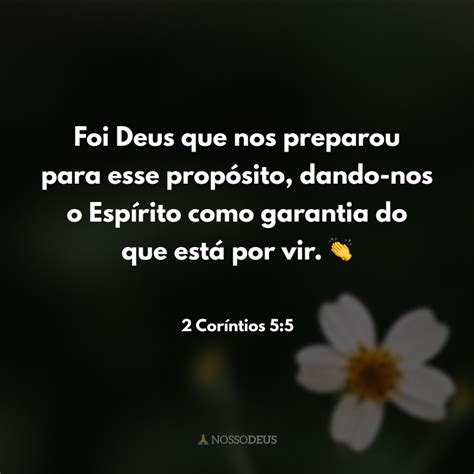 65 Frases Bíblicas De Agradecimento Para Glorificar A Deus