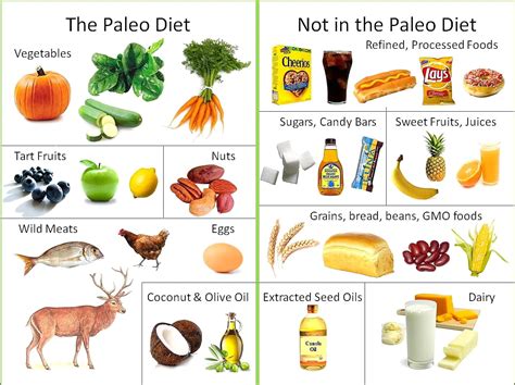 What Is The Paleo Diet and Why Has It Become So Popular?