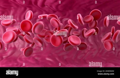 Biology Blood Bloodstream Hemoglobin Blood Vessel Cells Stock Videos