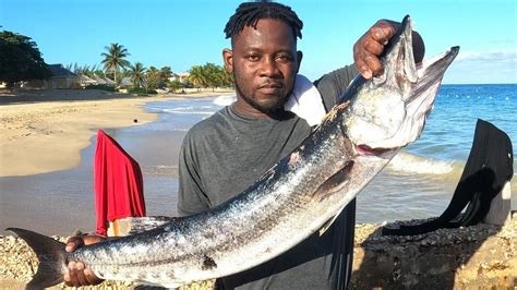 Epic Day Giant Barracuda Catch New Year S Day Fishing Youtube