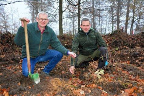 M Glichmacher Wald In Melzingen Svo Gruppe Pflanzt B Ume F R Den