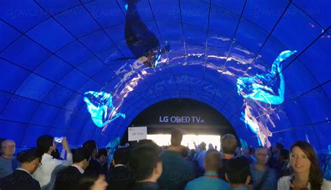 Ifa Le Plus Grand Tunnel Oled Au Monde Par Lg