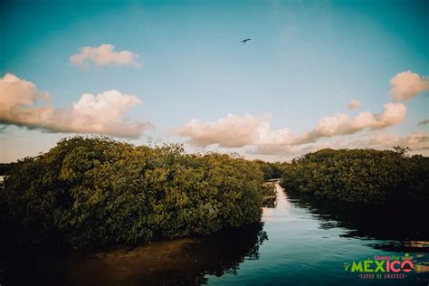 Reserva de la Biosfera Sian Ka an Una Joya Cultural Histórica y