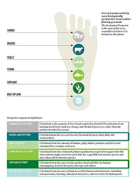 Calculating Humanitys Ecological Footprint Wwf