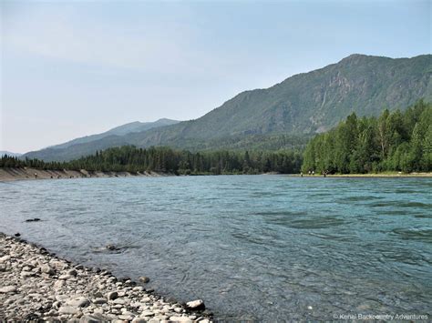 Kenai River Fishing Kenai Backcountry Adventures