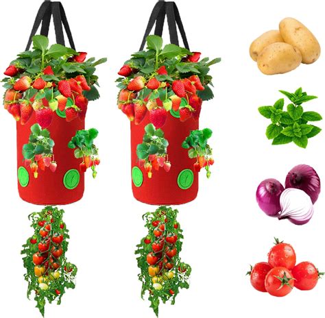 Buy Miewslan Packs Upside Down Planter Garden Hanging Strawberry