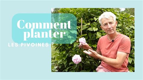 Comment Planter Les Pivoines Monjardindansleslandes YouTube