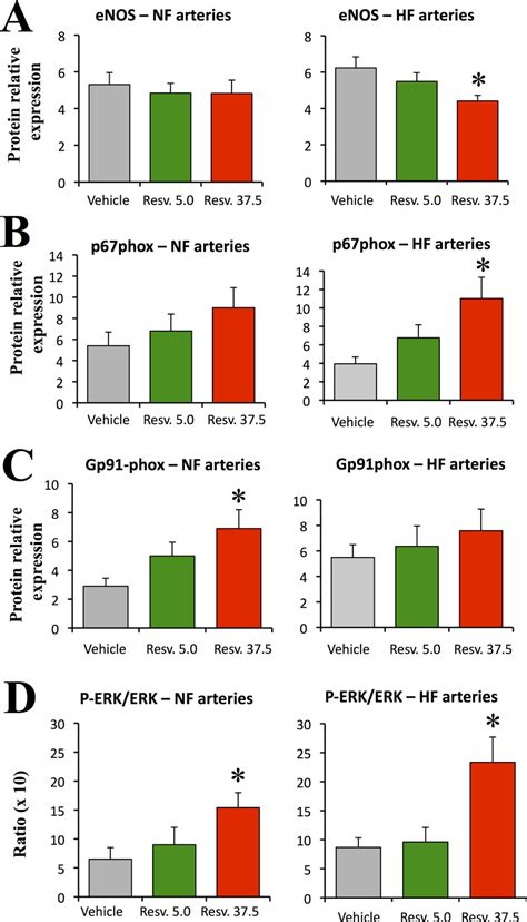 Expression Level Of Enos A P Phox B Gp Phox C And Erk