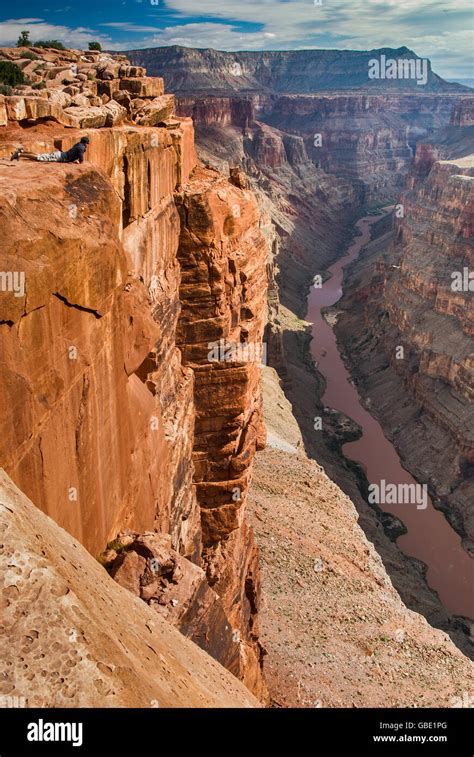 Young Man Looking At Grand Canyon From Toroweap Point At North Rim