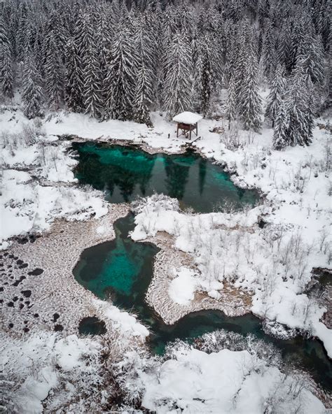 Photos: Zelenci Nature Reserve Covered In Snow In Winter - Travel Slovenia