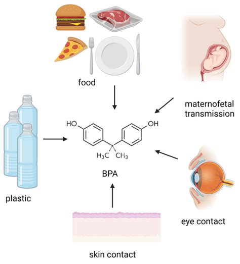 Pharmaceutics Free Full Text Current Evidence On Bisphenol A