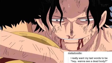 one piece text posts | Tumblr | One piece manga, Ace and luffy, Text ...