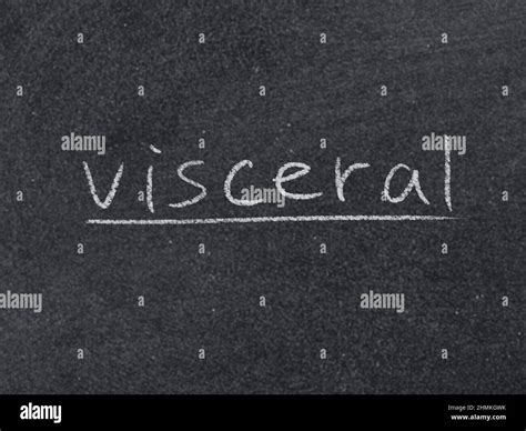 Visceral Concept Word On Blackboard Background Stock Photo Alamy