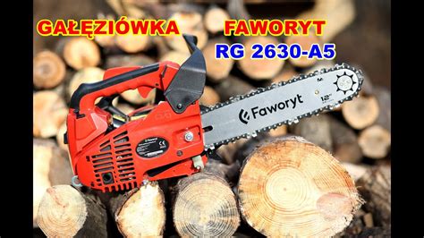 Faworyt Rg A Ma A I Lekka Pilarka Spalinowa Ga Zi Wka Test