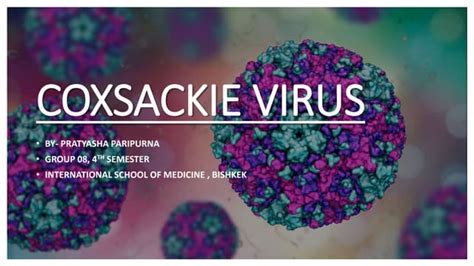 Coxsackie virus | PPT