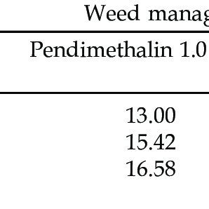 Interaction Effect Of Fertility And Weed Management Practice On Seed