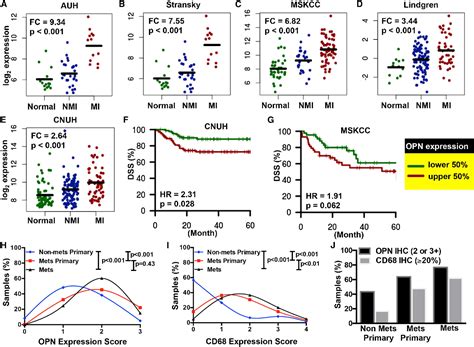 Figure From An Osteopontin Cd Axis In Rhogdi Mediated Metastasis