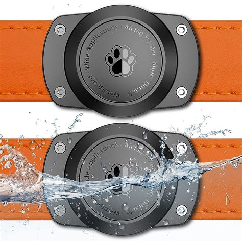 9 Best Waterproof Dog Collars