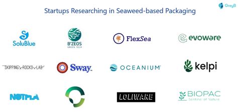 Seaweed Innovation Trends Report Greyb