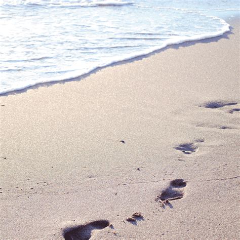 25++ Animated footprints gif information | giftumblranime