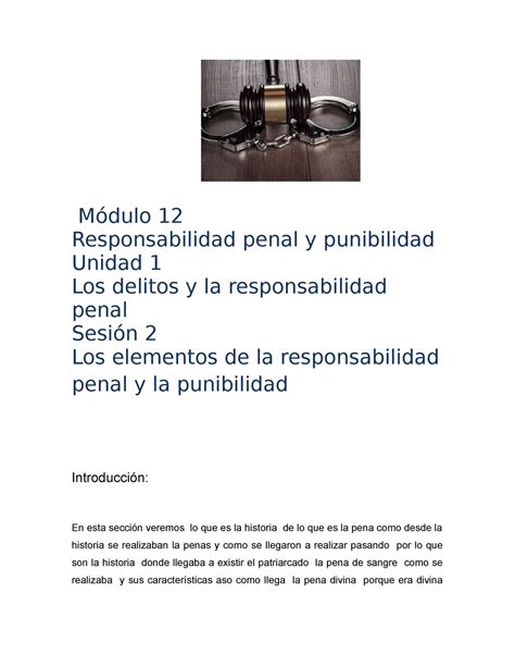 M U S Responsabilidad Penal Y Punibilidad M Dulo