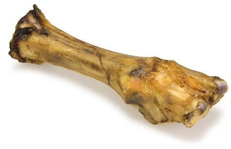 Cow Leg Bones