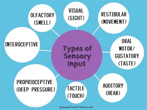 Sensory Processing Disorder Unveiled And Explained Fun Strokes