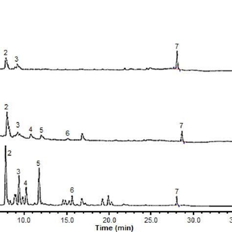 Representative Chromatographic Fingerprints Of Three Different Download Scientific Diagram