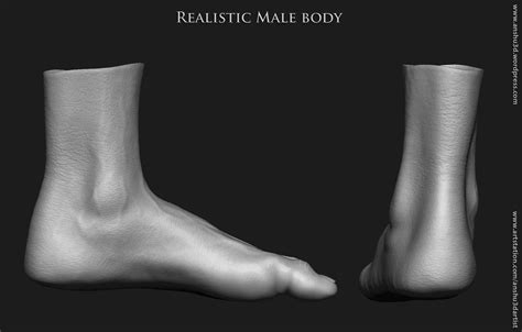 Realistic Human Male Body D Model By Anshu Dartist