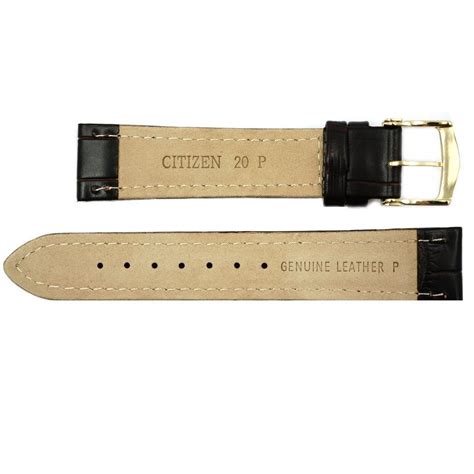 Citizen 20mm Brown Genuine Leather Strap – Total Watch Repair