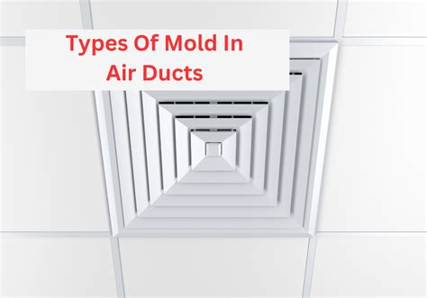 Common Types Of Mold In Air Ducts Causes Signs And Symptoms