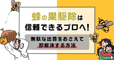 スズメバチの活動時間は朝から日没！蜂が活発な時間帯を知れば怖くない ハチ110番