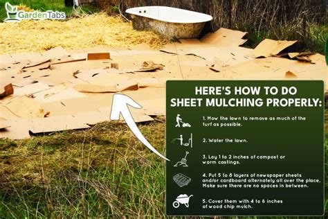 Sheet Mulching To Kill Grass How To