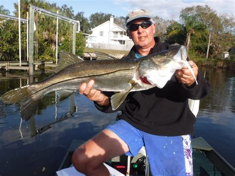 Best Snook Lures for Florida Fishing – Siesta Key Fishing Charters