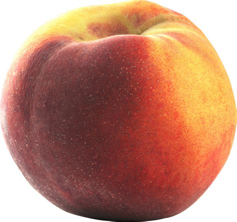 Peach Png Image Purepng Free Transparent Cc0 Png Image Library