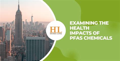 Examining The Health Impacts Of Pfas Chemicals Ningbo Homelink Eco