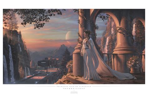 One Of My Favorite Artworks Of All Time By Jerry Vanderstelt Leia