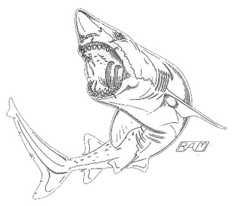 Megalodon Coloring Sheet Coloring Pages