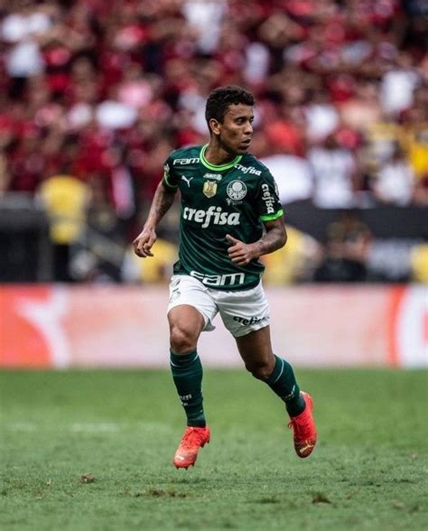 Pin De Fagner Em Palmeiras Palmeiras