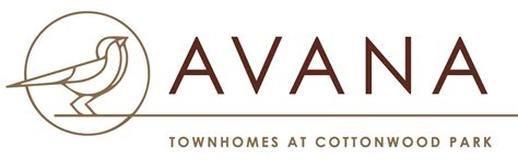Avana - B3 Communications - Branding & Creative Specialists.