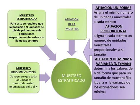 Estadística muestreo PPT