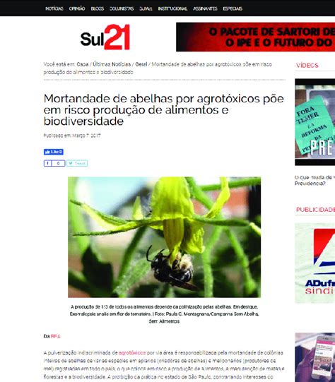 Mortandade De Abelhas Por Agrotóxico Download Scientific Diagram