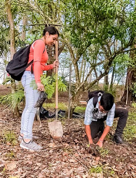 Actividades En Pro Del Ambiente By UCENM Honduras San Pedro Sula