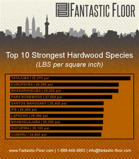 Fantastic Floor Hardwood Strength Which Species Is Best Infographic