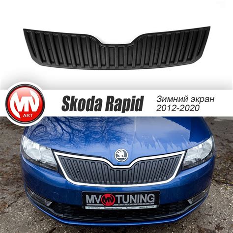 Зимний экран (верхний) для Skoda Rapid (2012-2019) текстурный пластик ...